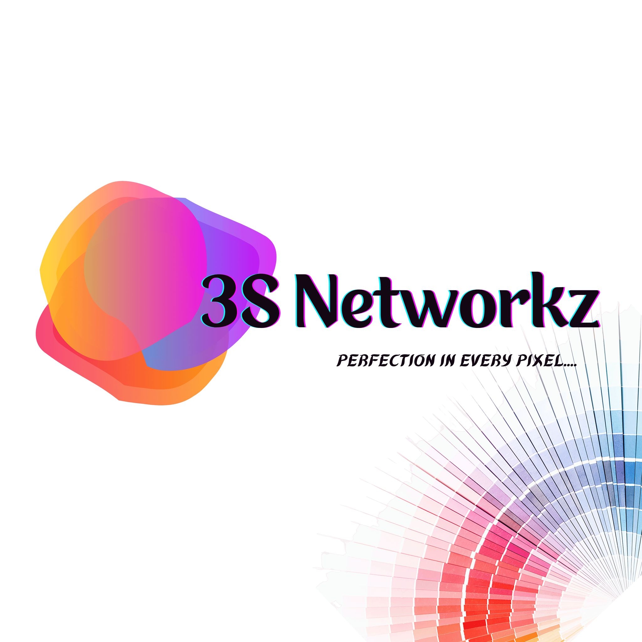 3s Networkz Logo