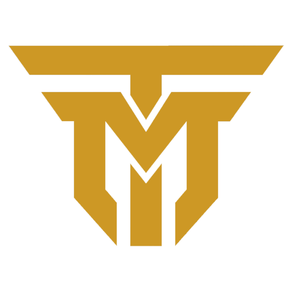 TM Printing Services Logo